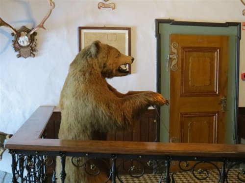 Ob stopnišču v gradu smo videli nagačenega medveda ...